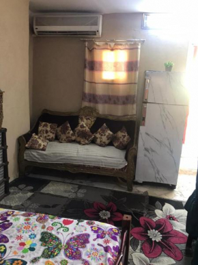 hotel and room and flat with rofe front of pyramids in naslat elsaman